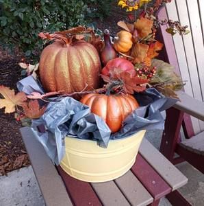 Meet your Posher, Joyce